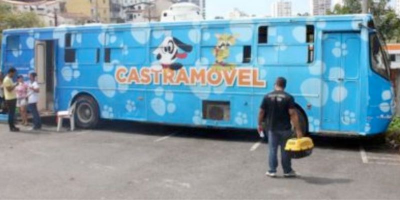 Em entrevista, Prefeita anuncia Castram�vel P�blico